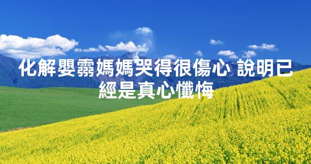 化解嬰霛媽媽哭得很傷心 說明已經是真心懺悔